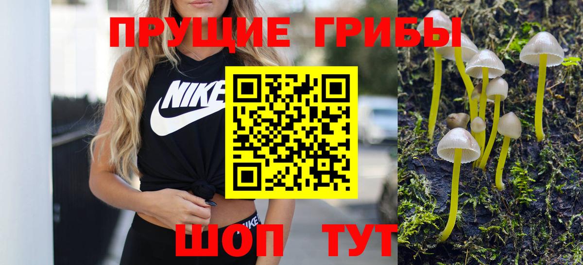 Псилоцибиновые грибы GOLDEN TEACHER  Вход с VPN  Мценск 