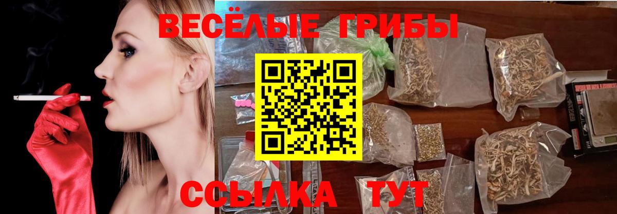 Псилоцибиновые грибы GOLDEN TEACHER Мценск